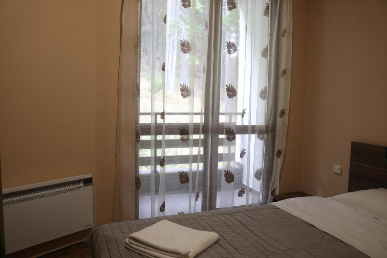 Winter Аpartments Gerovi Apartment Pamporovo Ngoại thất bức ảnh